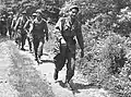 NLA soldiers marching