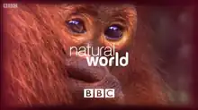 Natural World title card