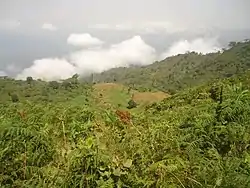 Natural landscape, Lebialem