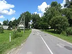 A road near Kunigiškė