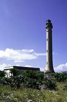 Navassa Island's lighthouse with the light keeper's quarters in the foreground