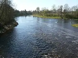 Mouth of Navesti into Pärnu River.