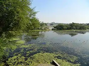 Wetlands of Bird Sanctuary