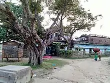 Naya Janakpur Mandir, Basuki Bihari