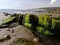 Shore at the southern end of Compton Bay