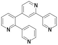 Nemertelline skeletal structure