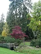 Autumn in the park