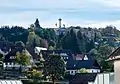 House roofs in Titisee-Neustadt