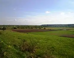 Nevėžis valley nearby Apytalaukis