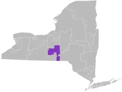 2022 New York Senate District 52