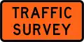 (TW-2.12) Traffic Survey