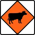 (TW-6) Watch for large animals (cattle)