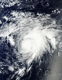 Satellite image of a weak but intensifying Tropical Storm Niala on September 25