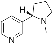 The alkaloid nicotine from tobacco binds directly to the body's Nicotinic acetylcholine receptors, accounting for its pharmacological effects.