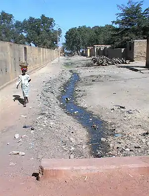 A woman walks down a side street in Niono, during the dry season, January 2003.