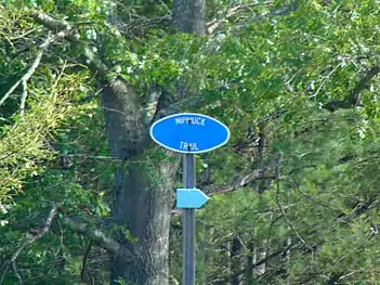 The trail in the Mansfield Hollow State Park in Mansfield, Connecticut.