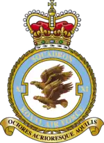 Squadron badge