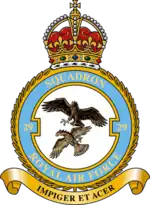 Squadron badge