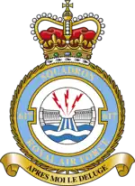 Squadron badge