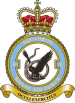 Squadron badge