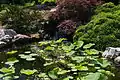 Japanese Garden waterfall