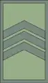 Помлад водникPomlad vodnik(North Macedonian Ground Forces)