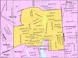 U.S. Census map