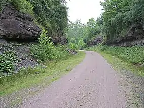 A trail curving between two green forested rock ledges.