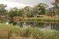 Banksia Street wetland in northern O'Connor