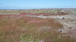 North Seymour Island