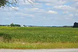 Fields east of Prospect