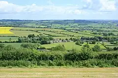 The roofs of a row of houses amongst green fields.