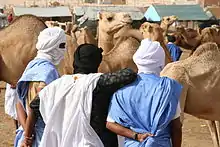 Image 5Camel market in Nouakchott (from Mauritania)