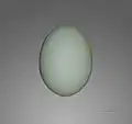 Egg