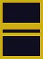 Flight suit sleeve insignia for a lieutenant(2003–present)