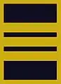 Flight suit sleeve insignia for a lieutenant colonel(2003–present)