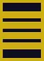 Flight suit sleeve insignia for a colonel(2000–present)