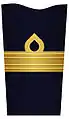 Sleeve insignia for a brigadier general(2003–present)