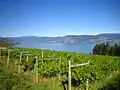 View of Okanagan Lake from Oak Bay Vineyard