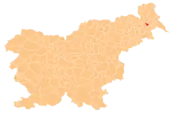 The location of the Municipality of Veržej