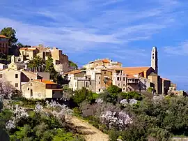 The church and surrounding buildings in Occhiatana