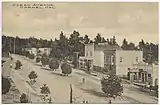 Photograph by L.S. Slevin, Carmel Ocean Ave. with Slevin's store, ca. 1910