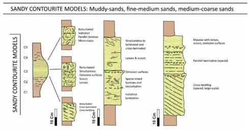 Sandy contourite familyfor muddy sands, fine-to-medium sandsand medium-to-coarse sands 