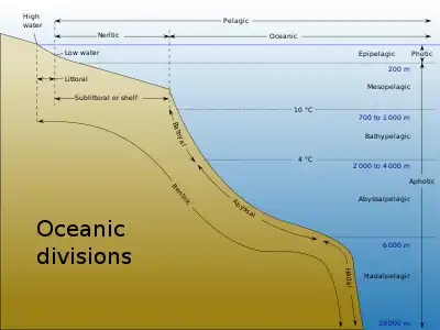 Image 37Oceanic fish inhabit the oceanic zone, which is the deep open water which lies beyond the continental shelves. (from Pelagic fish)