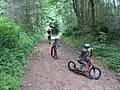 Offroad scootering