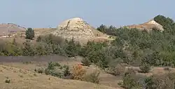 Bare hill rising from conifer woods