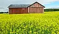 Old field barn in southern Finland