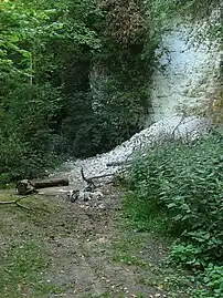 The chalk pit in Cote Bottom