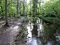 The Prehistoric Trail by the Giber Å.