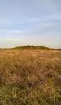 Round barrow cemetery incorporating Wambarrows on Winsford Hill